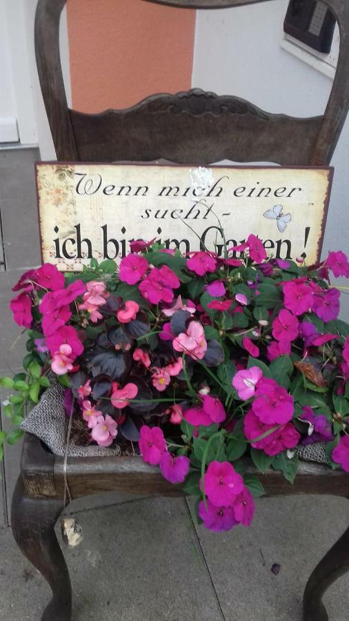 Fewo 1 Waren Mueritz - Haus Buchen Am Tiefwarensee - 1 Zi מראה חיצוני תמונה